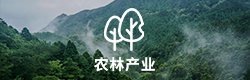 闽公网安备 350403026100